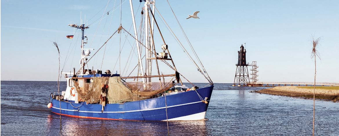 Küstenfischerei an der Nordseeküste